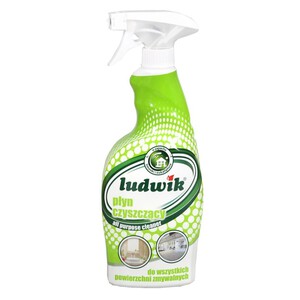 LUDWIK UNIWERSALNA PIANKA CZYSZCZĄCA 750 ML