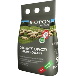 Obornik owczy