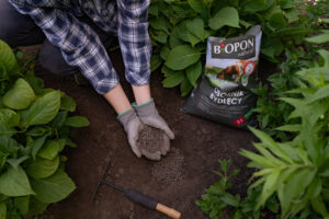 granulowany bydlęcy