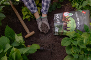 Obornik w granulacie